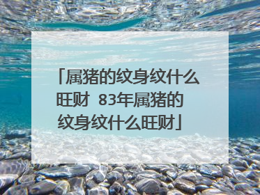 属猪的纹身纹什么旺财 83年属猪的纹身纹什么旺财