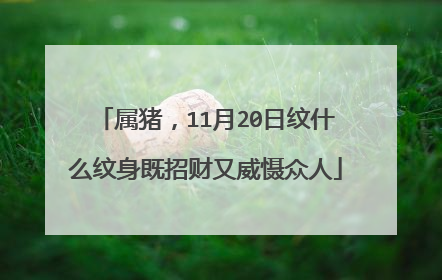 属猪，11月20日纹什么纹身既招财又威慑众人