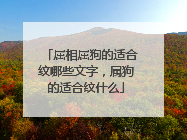 属相属狗的适合纹哪些文字，属狗的适合纹什么