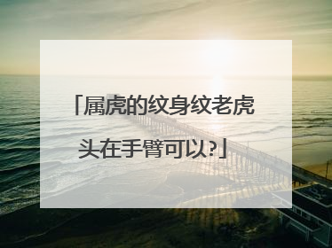 属虎的纹身纹老虎头在手臂可以?