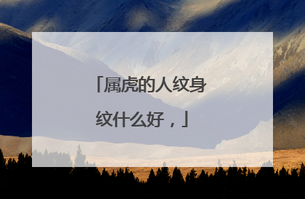 属虎的人纹身纹什么好，