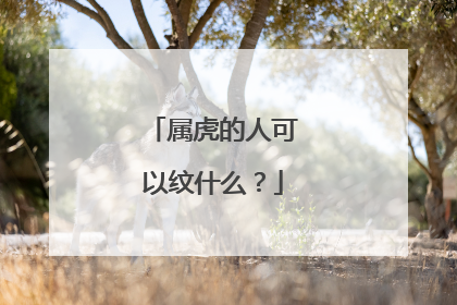 属虎的人可以纹什么？