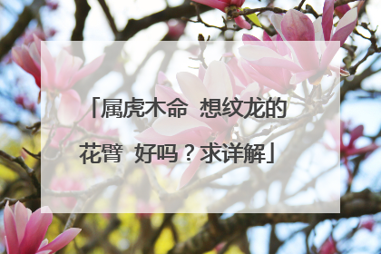 属虎木命 想纹龙的花臂 好吗？求详解