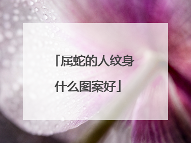 属蛇的人纹身什么图案好