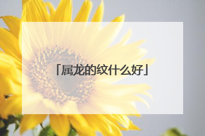 属龙的纹什么好