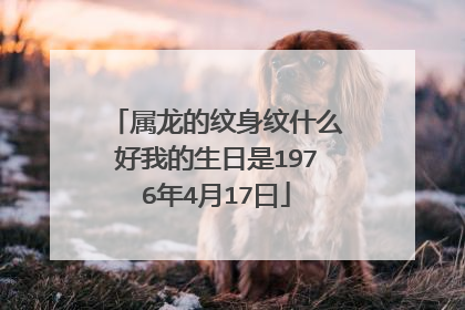属龙的纹身纹什么好我的生日是1976年4月17曰