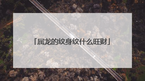 属龙的纹身纹什么旺财