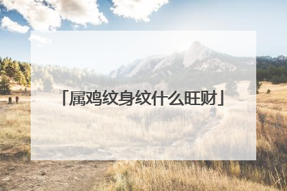 属鸡纹身纹什么旺财