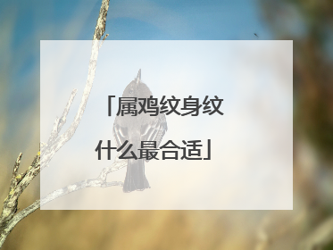 属鸡纹身纹什么最合适