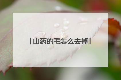 山药的毛怎么去掉