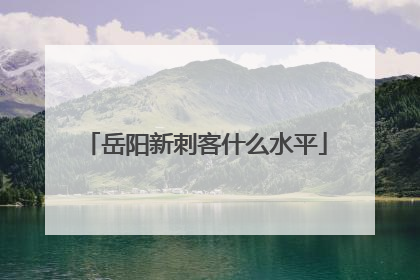 岳阳新刺客什么水平