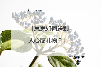 崽崽如何送别人心愿礼物？