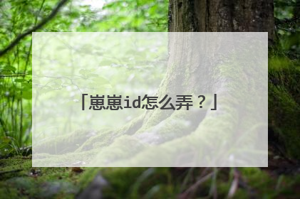 崽崽id怎么弄？