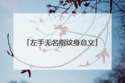 左手无名指纹身意义