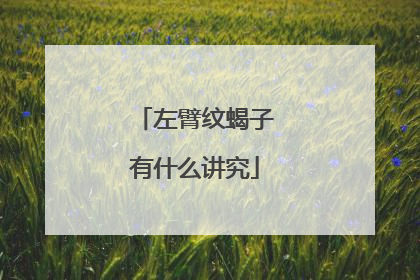 左臂纹蝎子有什么讲究