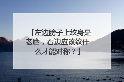 左边膀子上纹身是老鹰，右边应该纹什么才能对称？