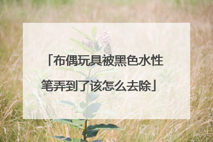 布偶玩具被黑色水性笔弄到了该怎么去除