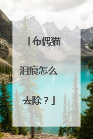 布偶猫泪痕怎么去除？