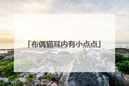布偶猫耳内有小点点