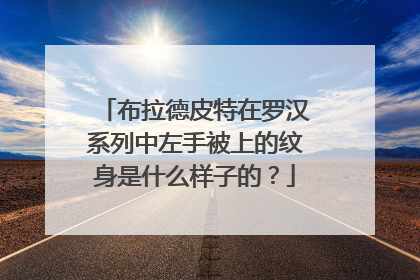 布拉德皮特在罗汉系列中左手被上的纹身是什么样子的？