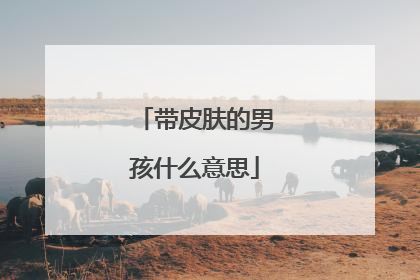 带皮肤的男孩什么意思