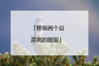 帮我画个最漂亮的图案