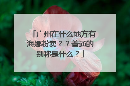 广州在什么地方有海娜粉卖？？普通的别称是什么？