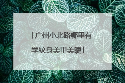 广州小北路哪里有学纹身美甲美睫