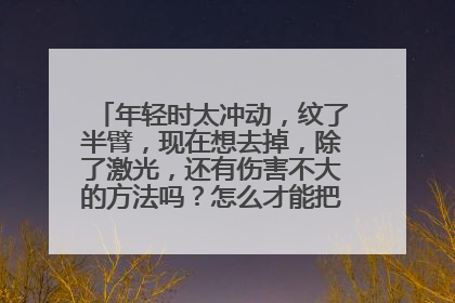 年轻时太冲动,纹了半臂,现在想去掉,除了激光,还有伤害不大的方法吗?怎么才能把纹身洗掉呢?