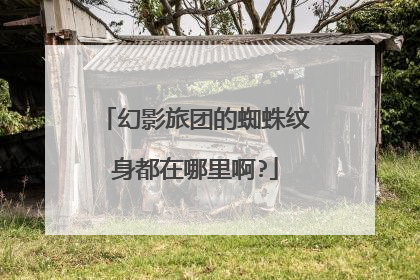 幻影旅团的蜘蛛纹身都在哪里啊?