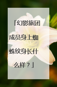 幻影旅团成员身上蜘蛛纹身长什么样？