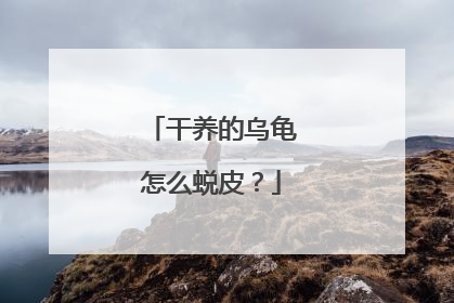 干养的乌龟怎么蜕皮？