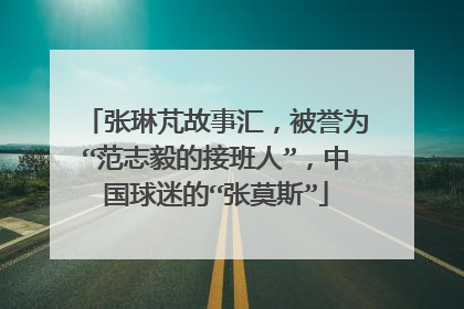 张琳芃故事汇,被誉为“范志毅的接班人”,中国球迷的“张莫斯”