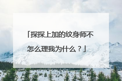 探探上加的纹身师不怎么理我为什么？