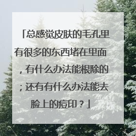 总感觉皮肤的毛孔里有很多的东西堵在里面，有什么办法能根除的；还有有什么办法能去脸上的痘印？