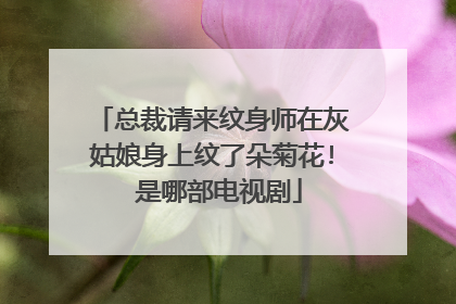 总裁请来纹身师在灰姑娘身上纹了朵菊花! 是哪部电视剧