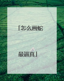 怎么画蛇最逼真