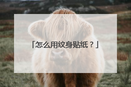 怎么用纹身贴纸？