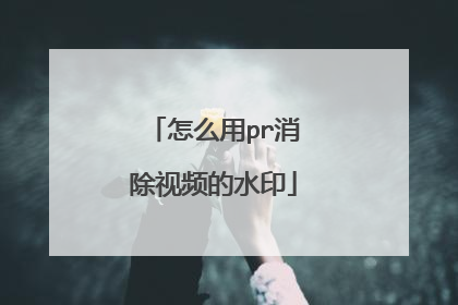 怎么用pr消除视频的水印