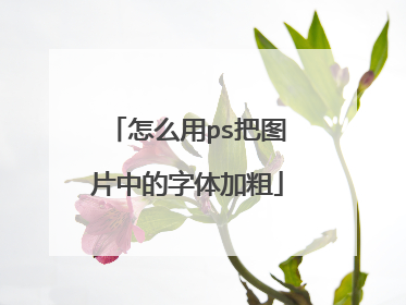怎么用ps把图片中的字体加粗