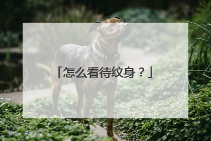 怎么看待纹身？