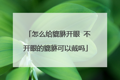 怎么给貔貅开眼 不开眼的貔貅可以戴吗