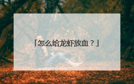 怎么给龙虾放血？
