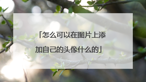 怎么可以在图片上添加自己的头像什么的