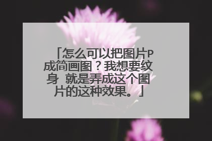 怎么可以把图片P成简画图？我想要纹身 就是弄成这个图片的这种效果。