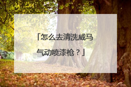 怎么去清洗威马气动喷漆枪？