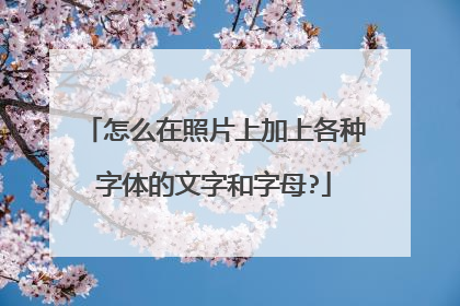 怎么在照片上加上各种字体的文字和字母?
