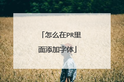 怎么在PR里面添加字体
