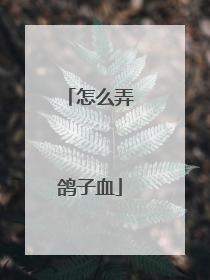 怎么弄鸽子血