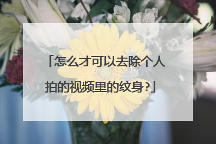 怎么才可以去除个人拍的视频里的纹身?